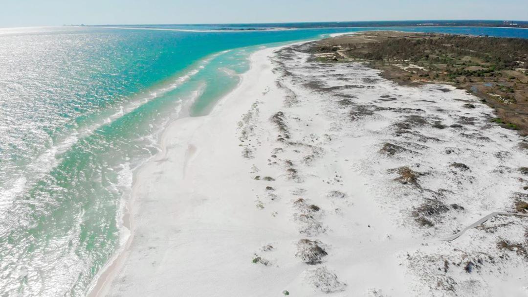 Private, Quiet-Close To Dwntn Pensacola, Stadium, Beaches Villa Eksteriør billede